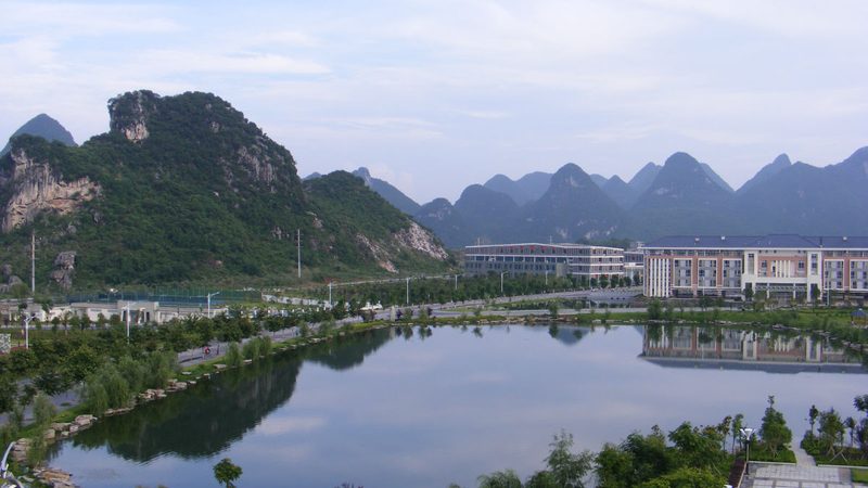 北京电子元器件厂家直销：揭秘元器件选择背后的技术逻辑