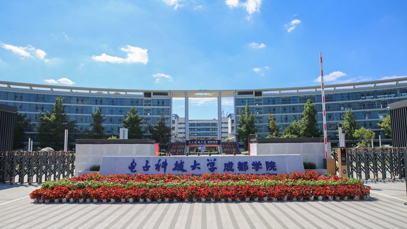 电子模块烧坏怎么修复